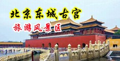 内射班长中国北京-东城古宫旅游风景区